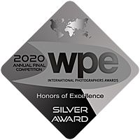 WPE Awards silver 2020