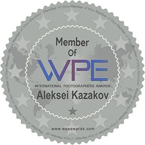 WPE Awards Member